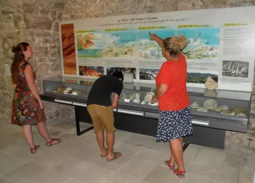 Park House Geology Museum