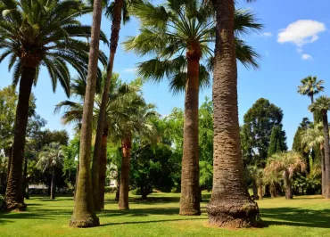 Villa Rothschild's gardens