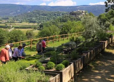 The Citadelle Botanical Garden