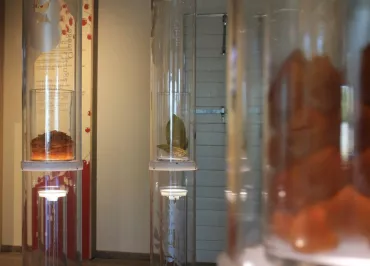 The House of Candied Fruit (La Maison du Fruit Confit)