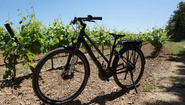 Sun E Bike Sun E Bike