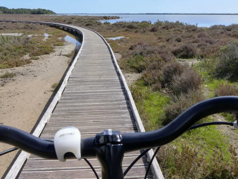 Traversée du Bois d'Aresquiers à vélo