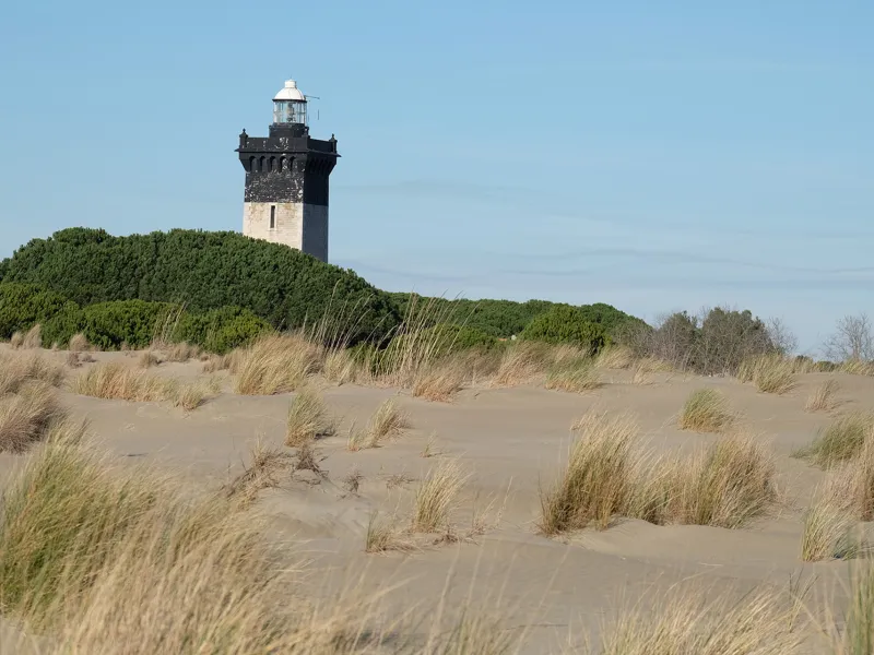 Dune et phare de l'espiguette