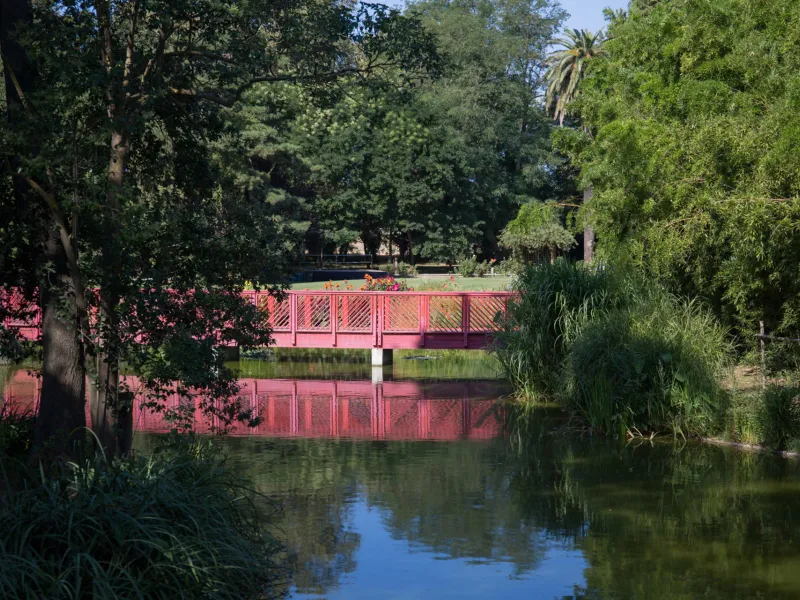 Jardin des plantes à St-Cyprien