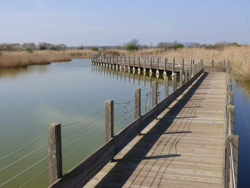 Maison de la nature, passerelle en lattes de bois