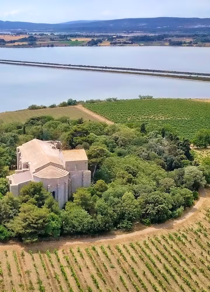 La cathédrale de Maguelone