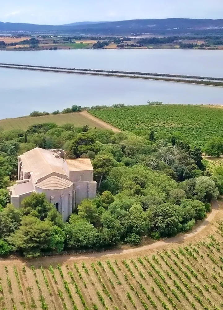 La cathédrale de Maguelone