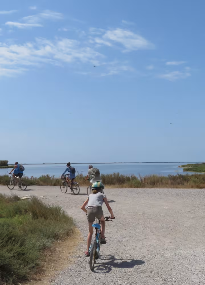 Etang de Thau en famille à vélo
