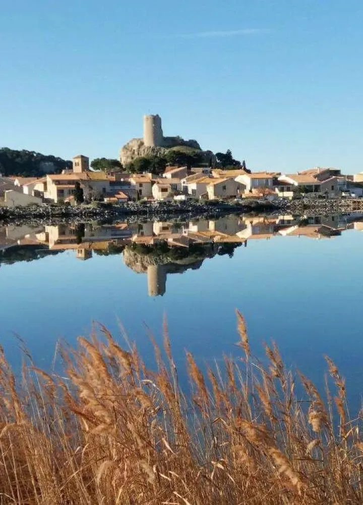 Grands espaces méditerranéens