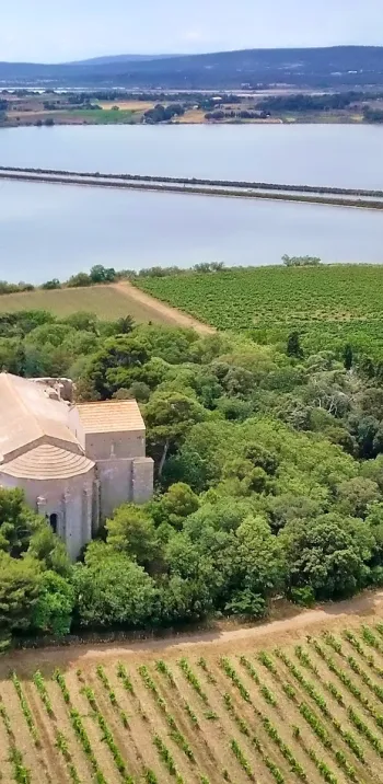 La cathédrale de Maguelone