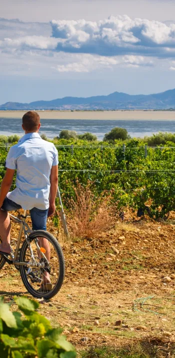 Choosing specific sections along the route