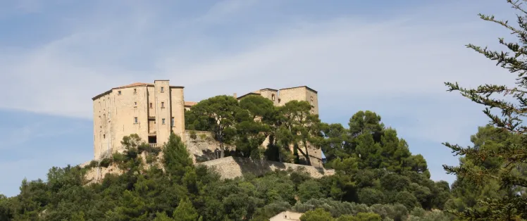 Château de Meyrargues