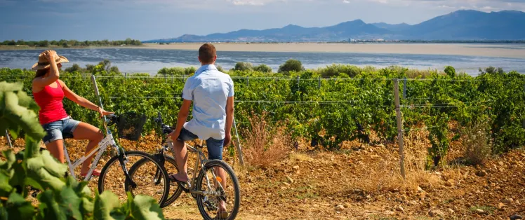 Choosing specific sections along the route