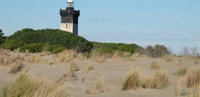 Le Grau-du-Roi / Beaucaire -Tarascon