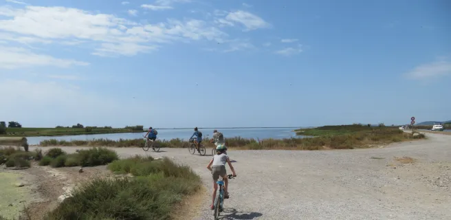 Etang de Thau en famille à vélo