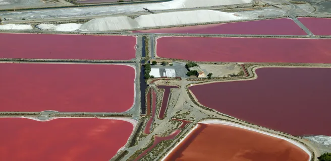 Le Grau-du-Roi / Beaucaire -Tarascon