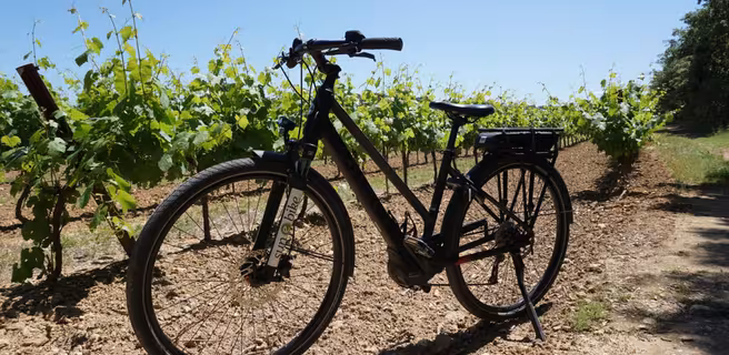 Sun-E-Bike - Magasin de vélo dans le Luberon (Location - Vente - Réparation)