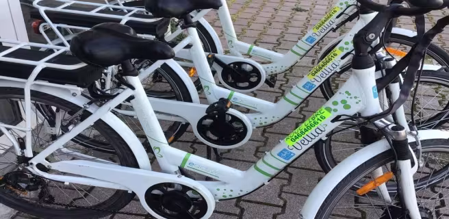 ROUE LIBRE ET SPORTS