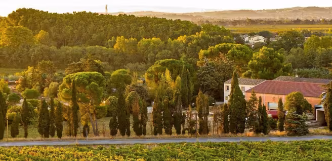 DOMAINE DE L'HERBE SAINTE