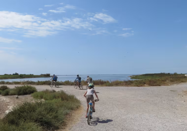 Etang de Thau en famille à vélo