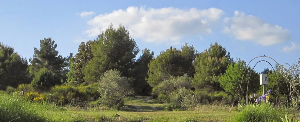 Roumavagi Farm Campsite photo 3