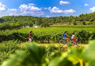 La Vigne à vélo en Dracénie