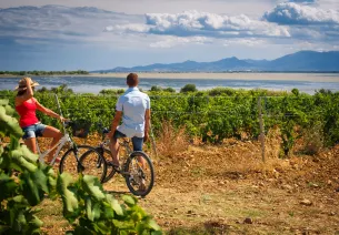 Canet en Roussillon, les vignes à vélo